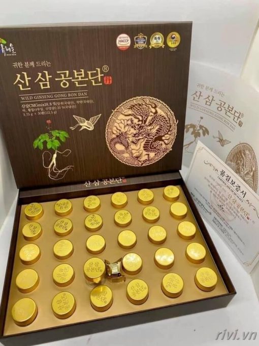 Viên Hoàn Hồng Sâm Núi Wild Ginseng Gong Bon Dan Hàn Quốc