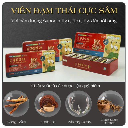 Viên đạm Hồng Sâm Nhung Hươu Linh Chi